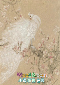 越鸟羽绒服测评